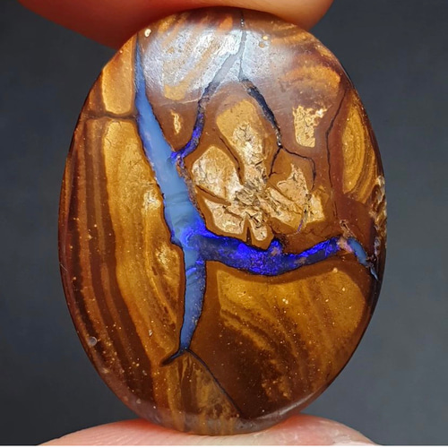 遊色が眩しいボルダーオパールのルースです 楽天市場】ボルダーオパール 23.6ct ルース ◇ オーバル