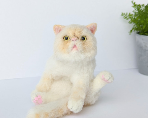 10bc2186ebbfe149f1f84ee6e0fa84