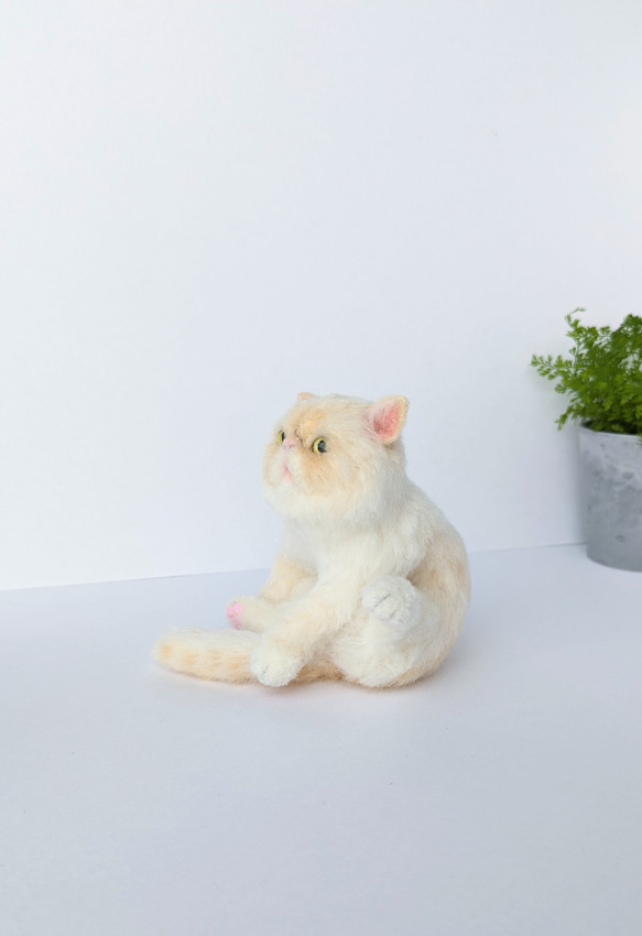 エキゾチックショートヘア　羊毛フェルト　ぬいぐるみ　猫　置き物　送料無料　猫の日2024 2枚目の画像