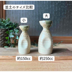 徳利（一合 二合）カラフル　おうち呑み　和モダン　お酒 11枚目の画像