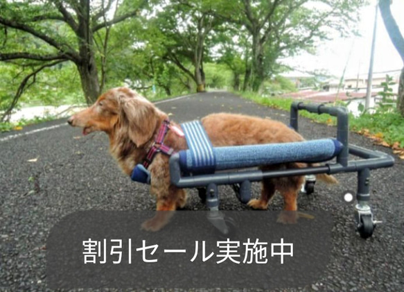 犬の4輪歩行器、犬車椅子(小型犬シートタイプ) - ヘルスケア・介護用品