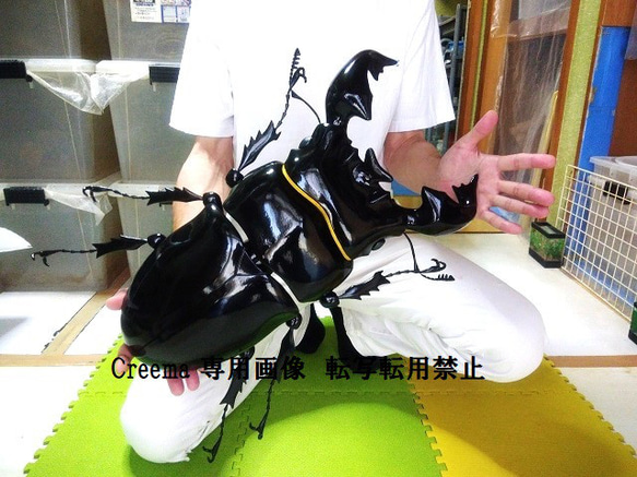 タランドゥス 超大型 MEGA リアルフィギュア 立体・オブジェ タランドゥス 超大型 MEGA リアルフィギュア 立体・オブジェ