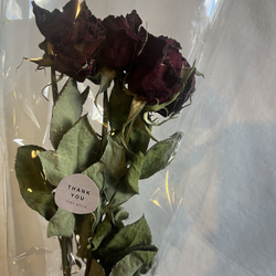 ドライフラワー花材　2つで999円✾好きな組み合わせお選び下さい♪ 11枚目の画像
