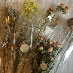 ドライフラワー花材　2つで999円✾好きな組み合わせお選び下さい♪ 2枚目の画像