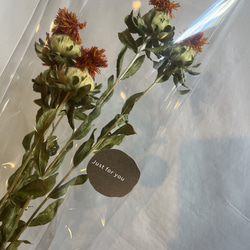 ドライフラワー花材　2つで999円✾好きな組み合わせお選び下さい♪ 10枚目の画像