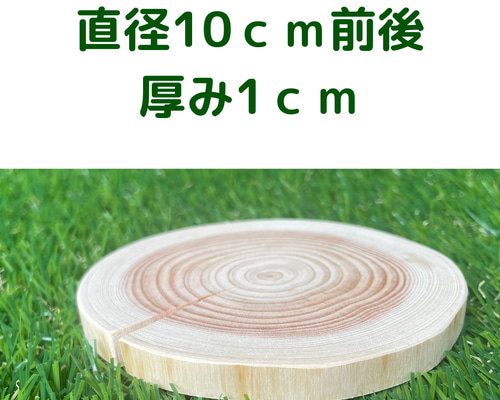 ぽんさん様専用 檜 切り株 輪切り 厚み約10㎝ - メルカリ