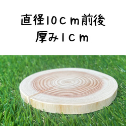 皮無しヒノキの輪切り 直径10cm前後 厚み1cm 木材・板 切り株べ