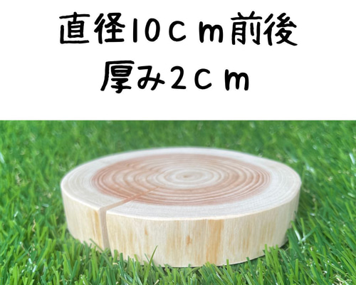 ヒノキ　輪切り　天然木 ヒノキ 輪切り 天然木 森の素材（ヒノキ輪切り） – 株式会社