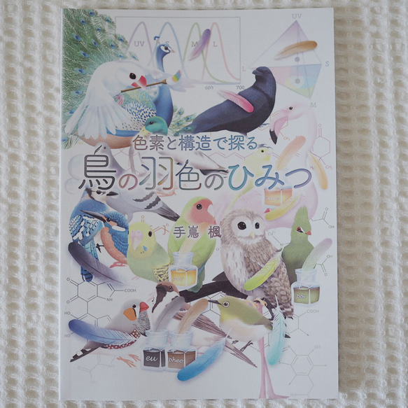 大人の科学絵本『文鳥の羽色で学ぶゆる遺伝学』 1枚目の画像