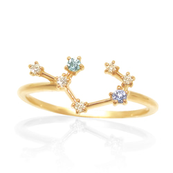 いて座 星座 リング 11月 ブルートパーズ & 12月 タンザナイト 誕生石 付き 射手座 華奢 指輪 [受注制作] 1枚目の画像