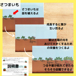 土の中のおやさいクイズ　さつまいも　かぶ　にんじん　大根　保育教材　食育 9枚目の画像