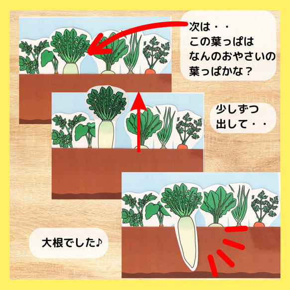 土の中のおやさいクイズ　さつまいも　かぶ　にんじん　大根　保育教材　食育 4枚目の画像