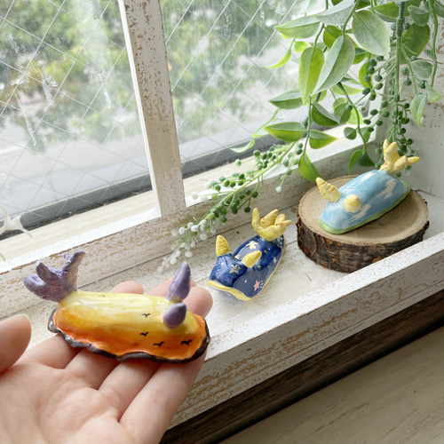 陶器のウミウシ 日常の空シリーズ/青空 夕空 夜空 夕日 夕焼け 星空