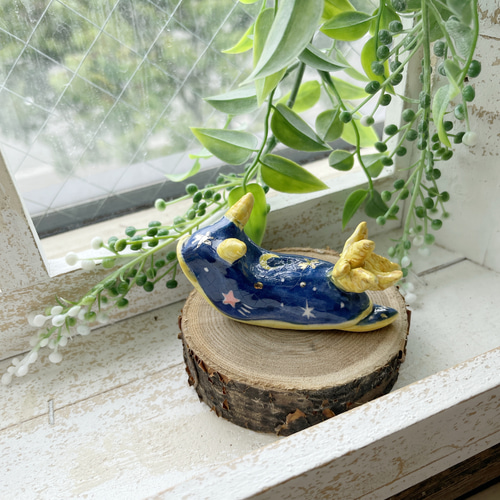 陶器のウミウシ 日常の空シリーズ/青空 夕空 夜空 夕日 夕焼け 星空