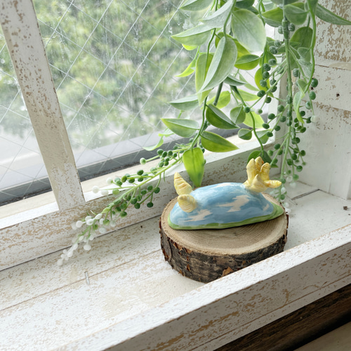 陶器のウミウシ 日常の空シリーズ/青空 夕空 夜空 夕日 夕焼け 星空