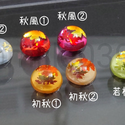 季節性秋葉耳環 8 種顏色 第2張的照片