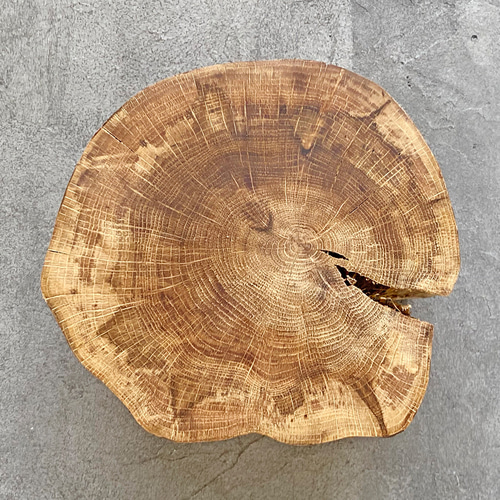 送料無料 コナラ 丸太 切り株 薪割台 置台 ディスプレイ台 樹皮なし