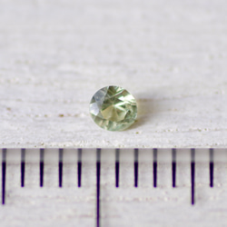 デマントイド・ガーネット＊ラウンド・カット＊0.07ct＊2.5mm＊GAN-002 5枚目の画像