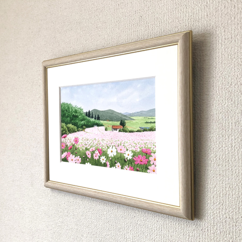 秋桜　水彩画　原画 新規購入 秋桜 水彩画 原画 絵画 - 絵画