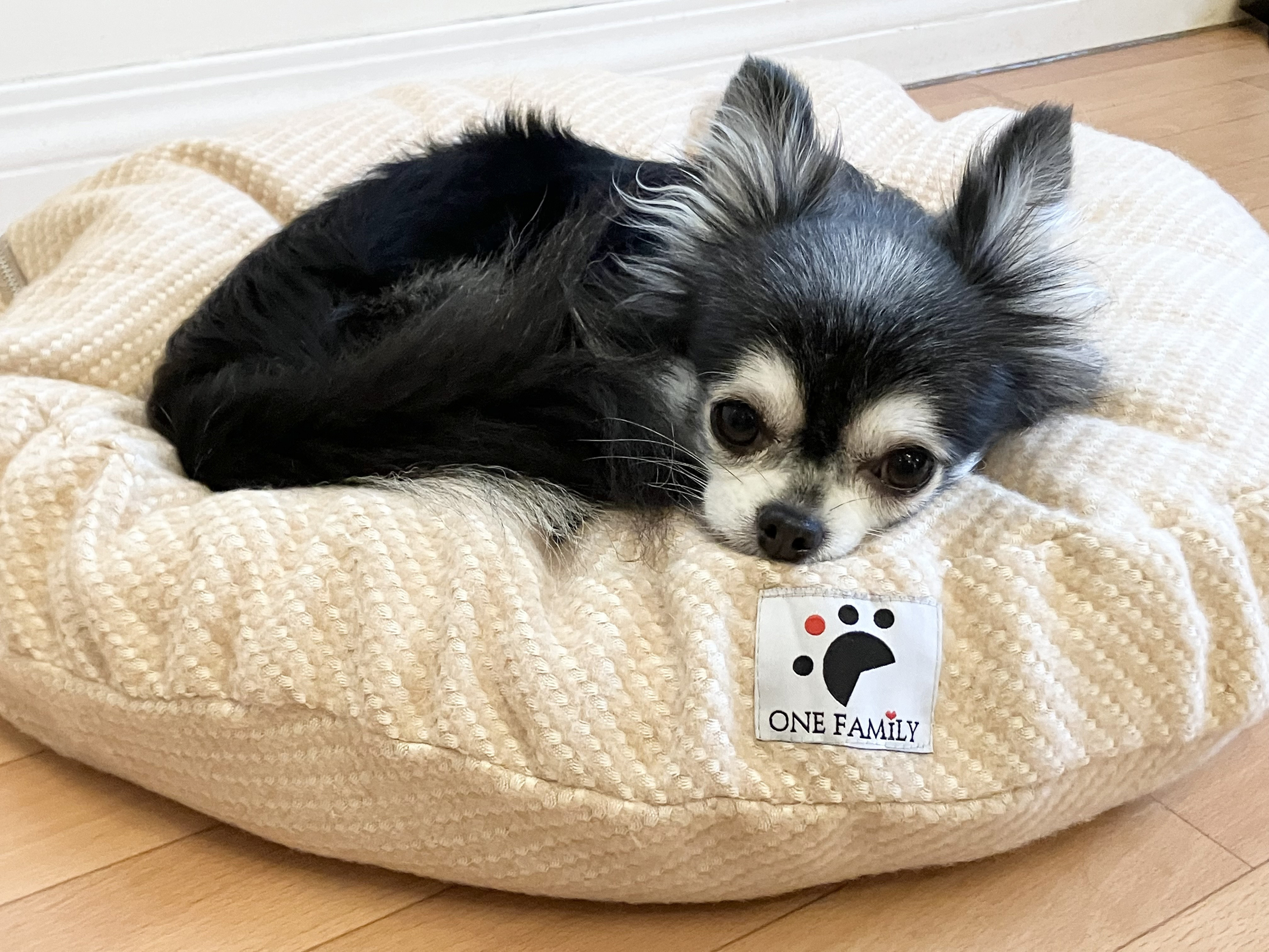 【天然鉱石使用】羽毛を使った高級円形ベッド　羽毛クッションベッド＋オーガニックコットンカバー