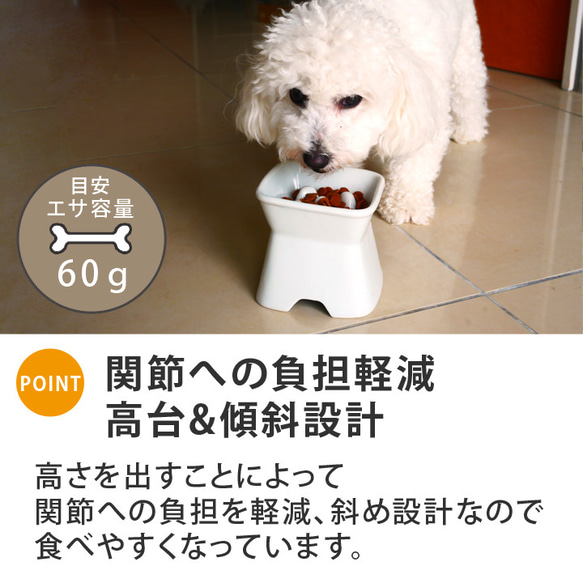 送料無料　早食い防止 高台傾斜カラーフードボウル 全10色 pet166 7枚目の画像