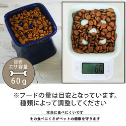 送料無料　早食い防止 高台傾斜カラーフードボウル 全10色 pet166 16枚目の画像