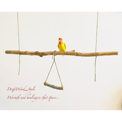 流木インテリア  シンプルな天然流木の小鳥の止まり木 吊り下げタイプ インコ 鳥 ブランコ 自然木 No.19 3枚目の画像
