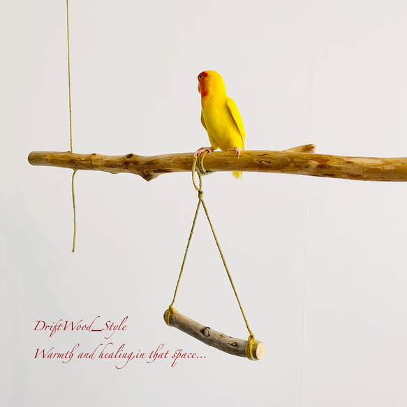 流木インテリア  シンプルな天然流木の小鳥の止まり木 吊り下げタイプ インコ 鳥 ブランコ 自然木 No.19 4枚目の画像