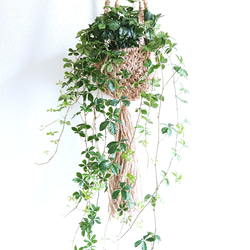 ●数量限定●”シュガーバイン　ロング（約45㎝～）手織りジュート 麻ハンギング鉢カバーセット"　観葉植物　吊るす　壁掛け 1枚目の画像