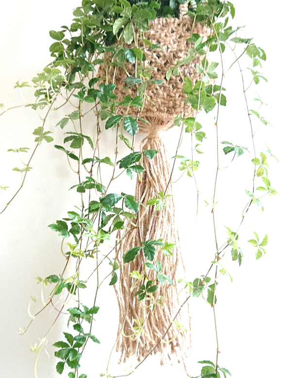 ●数量限定●”シュガーバイン　ロング（約45㎝～）手織りジュート 麻ハンギング鉢カバーセット"　観葉植物　吊るす　壁掛け 2枚目の画像