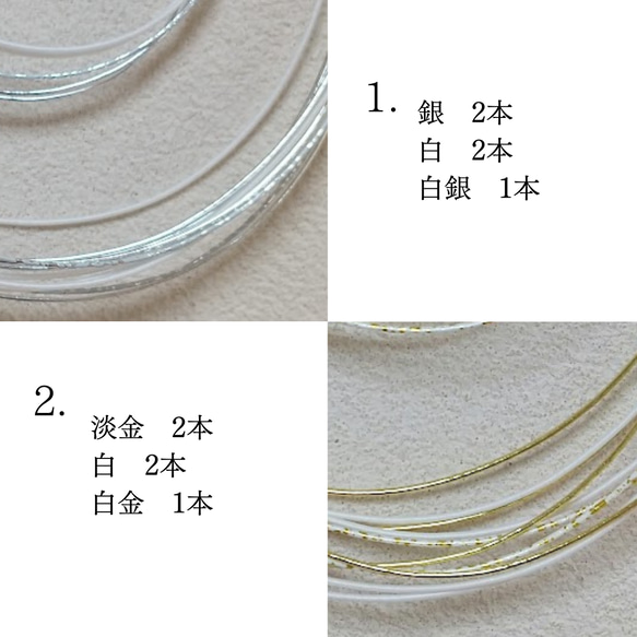  第3張的照片