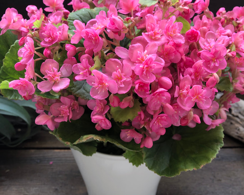 340cb38591c884054a24877b25acf9