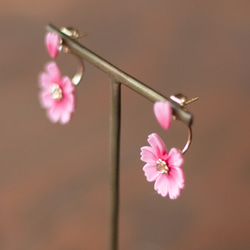 花占 ピアス/ノンホール / ピンク秋桜 4枚目の画像