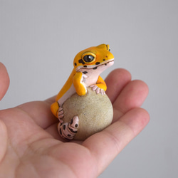 【受注制作】石の上にもヒョウモントカゲモドキ/タンジェリン 6枚目の画像