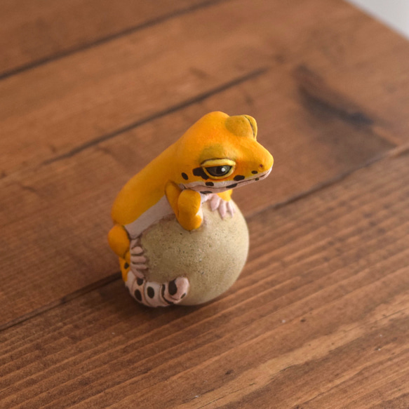 【受注制作】石の上にもヒョウモントカゲモドキ/タンジェリン 5枚目の画像