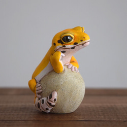 【受注制作】石の上にもヒョウモントカゲモドキ/タンジェリン 2枚目の画像