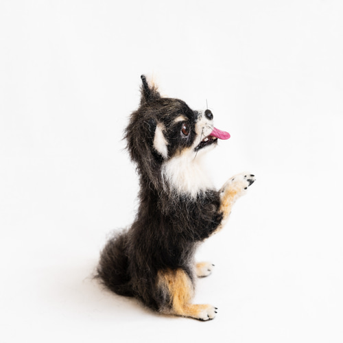 チワワ／ちょうだいポーズ＊羊毛フェルト 羊毛フェルト kurimarofelt