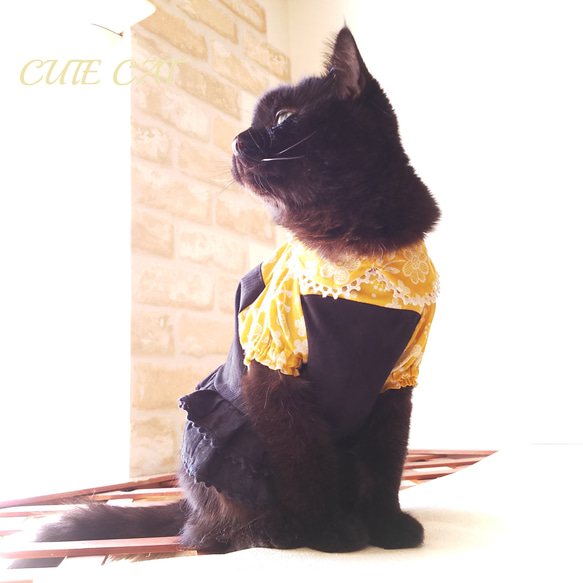 猫服【オーダー】ハロウィンワンピ2023＊フラワー 10枚目の画像