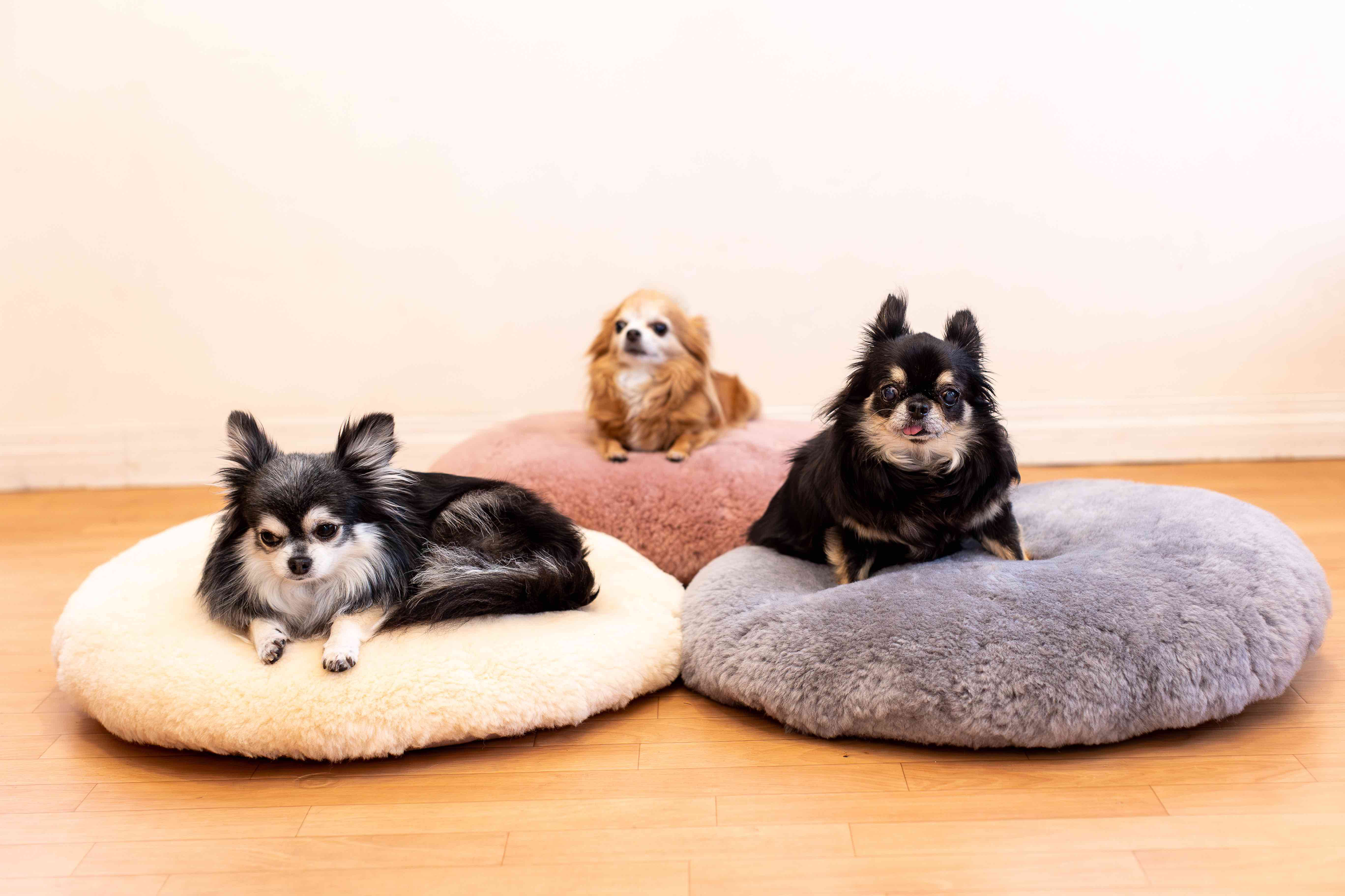 【高級ムートンカバー】　羽毛を使った円形ペットベッド（天然鉱石配合）　羽毛クッションベッド＋専用カバー＋防水カバー