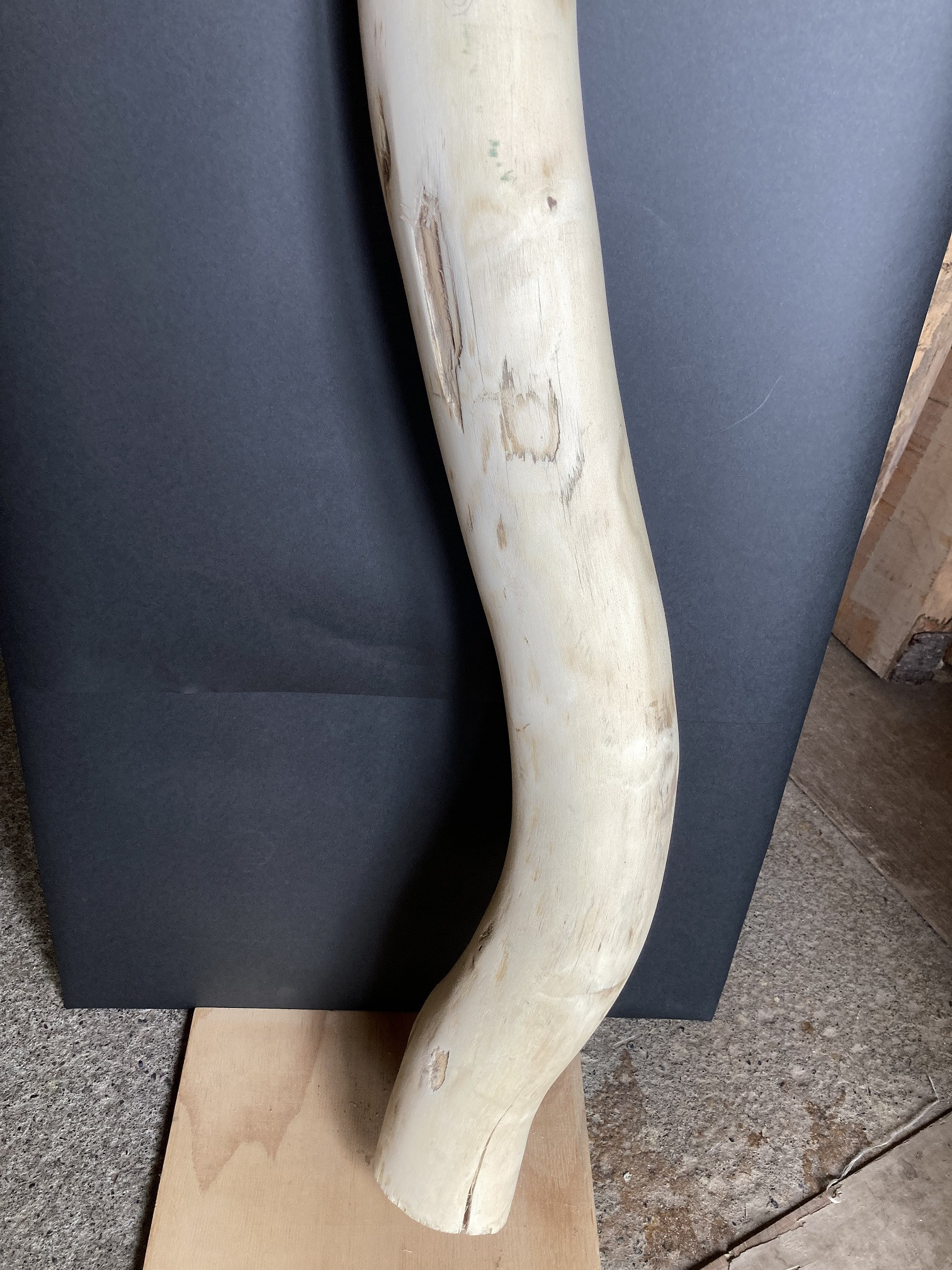 エンジュ皮むき小丸太 80x100xL1160 (3030412)