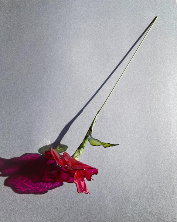 ホの花【hot pink】#ディップフラワー#ディップアート#アメリカンフラワー 5枚目の画像