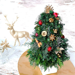再販【Creema限定！早割価格】プリザーブドグリーンのクリスマスツリー（レッド系ボール）　/プリザーブドフラワー/ 1枚目の画像