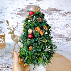 再販【Creema限定！早割価格】プリザーブドグリーンのクリスマスツリー（レッド系ボール）　/プリザーブドフラワー/ 2枚目の画像