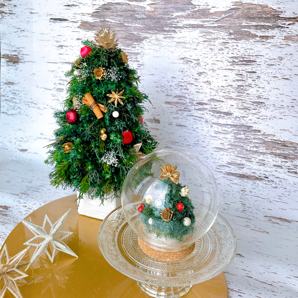 再販【Creema限定！早割価格】プリザーブドグリーンのクリスマスツリー（レッド系ボール）　/プリザーブドフラワー/ 9枚目の画像