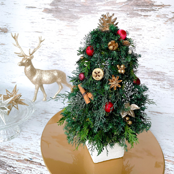再販【Creema限定！早割価格】プリザーブドグリーンのクリスマスツリー（レッド系ボール）　/プリザーブドフラワー/ 7枚目の画像