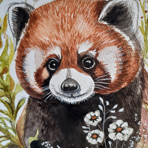 水彩画 レッサーパンダ 絵画 makochin 通販 16512597｜Creema(クリーマ