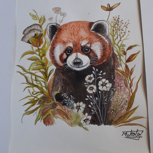 水彩画 レッサーパンダ 絵画 makochin 通販 16512597｜Creema(クリーマ