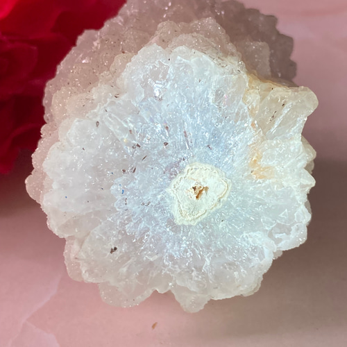 入荷nowオンラインストア インド サボテン水晶✨ マハーラーシュトラ州 原石 クリスタル 置物