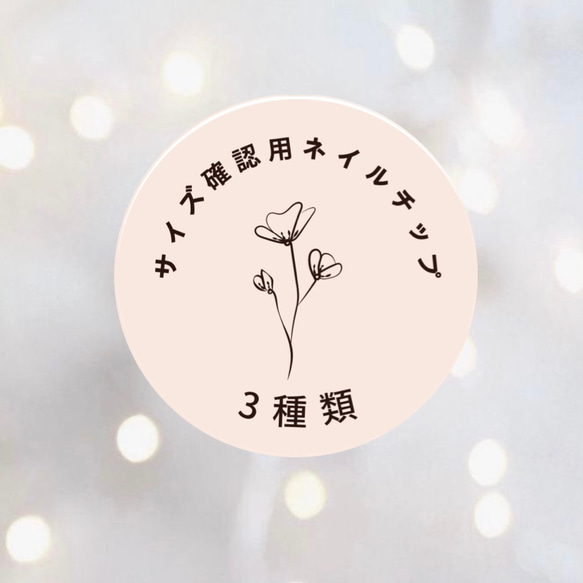 サイズ確認用③種類ネイルチップ（長さ調節無料） ネイルチップ（つけ  