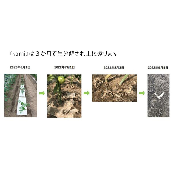 自然素材 ３か月で土に還る 和紙100％ 間仕切り 目隠し「kami 白茶厚地」 カーテン ナチュラル シンプル 17枚目の画像